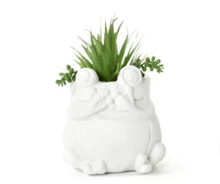 Succulent In White Cement Frog Pot