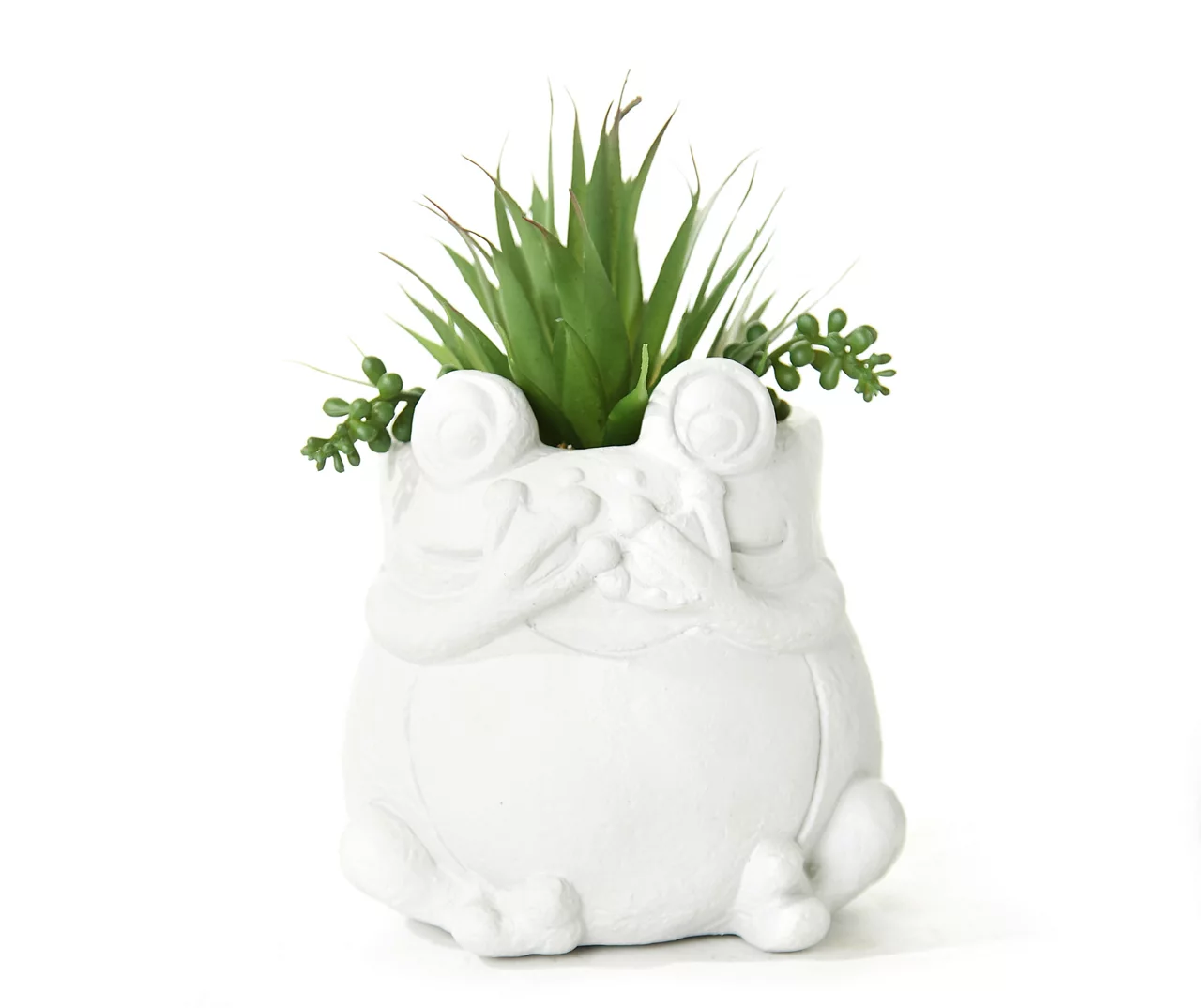 Succulent In White Cement Frog Pot 1 Succulent In White Cement Frog Pot