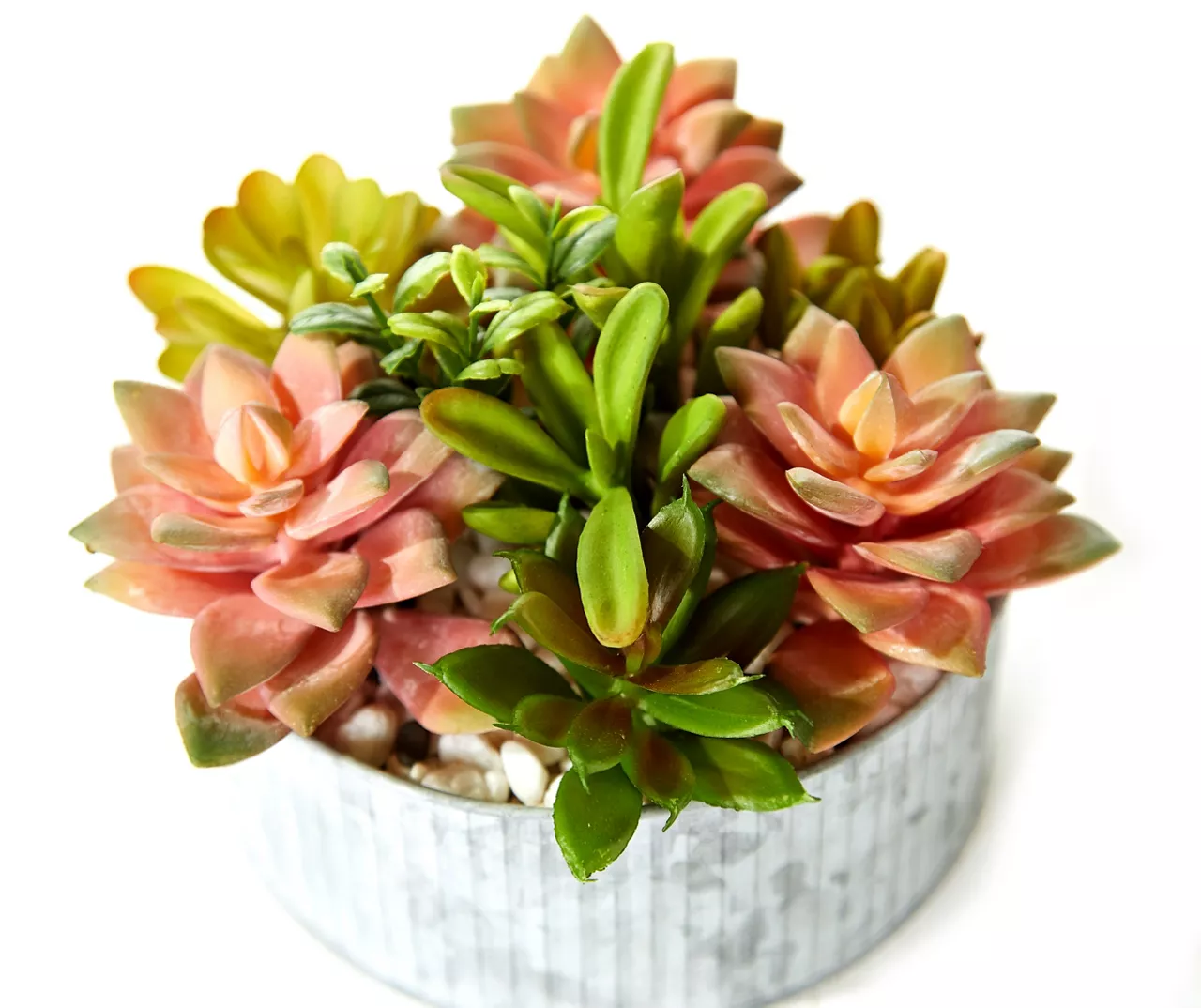 Green & Pink Succulent Arrangement in Galvanized Metal Pot 2 Green & Pink Succulent Arrangement in Galvanized Metal Pot - Image 2