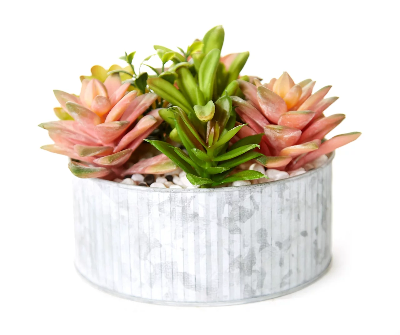 Green & Pink Succulent Arrangement in Galvanized Metal Pot 1 Green & Pink Succulent Arrangement in Galvanized Metal Pot