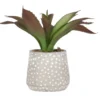 Artificial Agave Plant In Dotted Cement Pot
