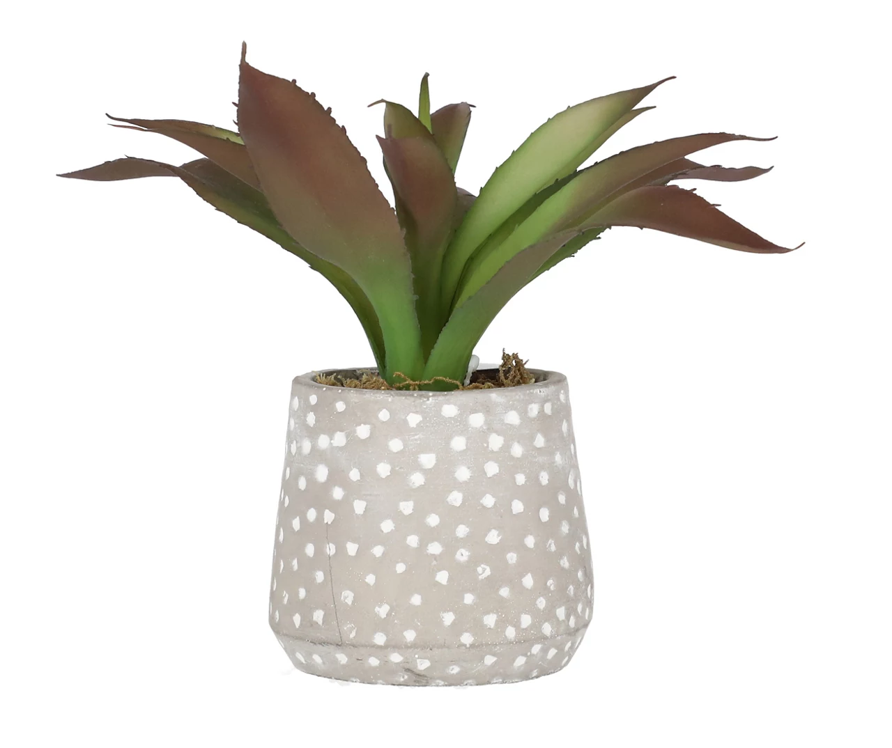 Artificial Agave Plant In Dotted Cement Pot 1 Artificial Agave Plant In Dotted Cement Pot